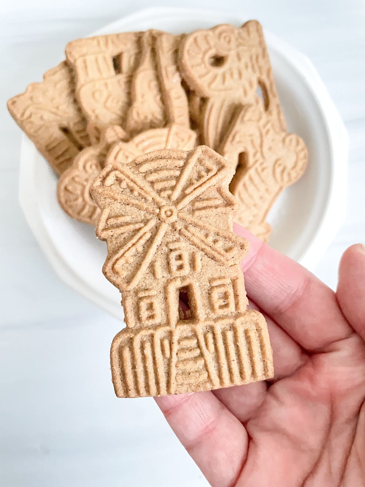 German windmill cookie