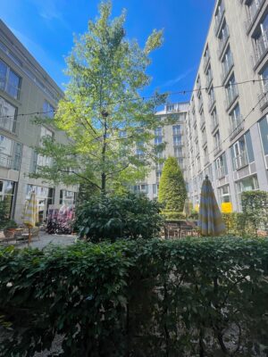 hotel courtyard