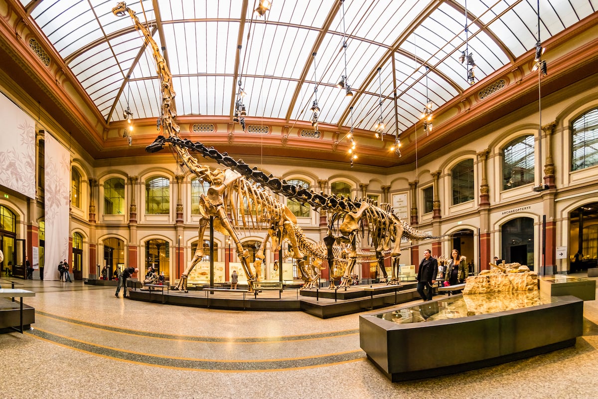 Museum Für Naturkunde (Natural History Museum)