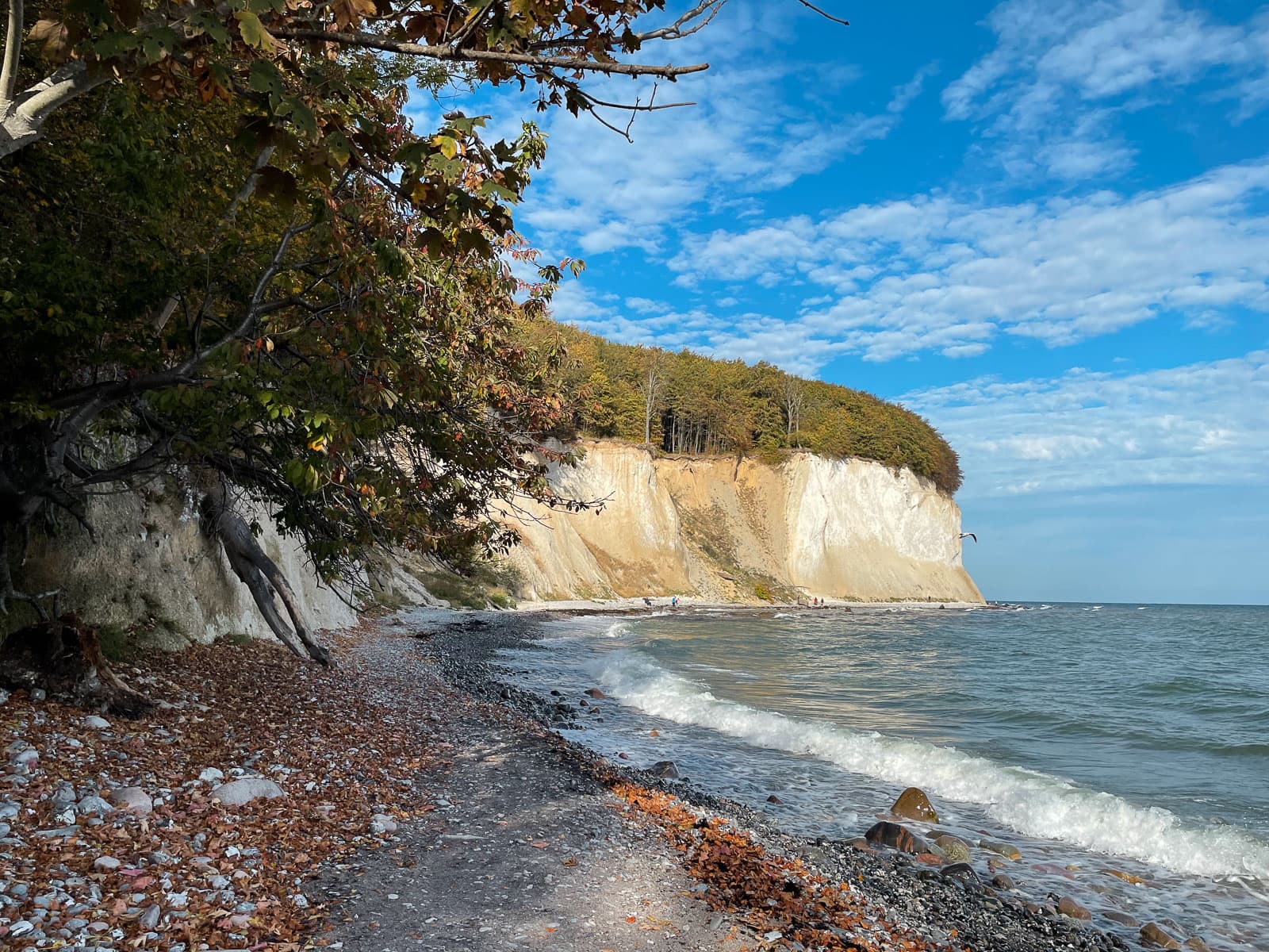 Rügen chalk cliffs