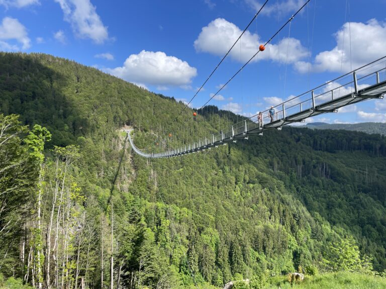 Blackforestline suspension bridge