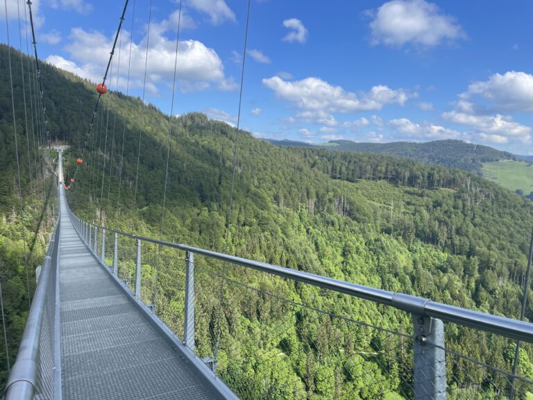 Blackforestline suspension bridge