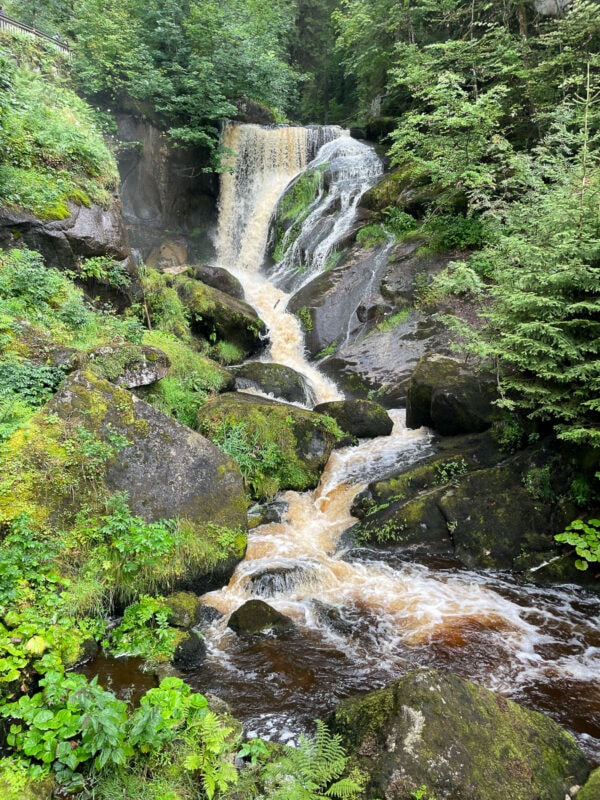 Black Forest waterfall