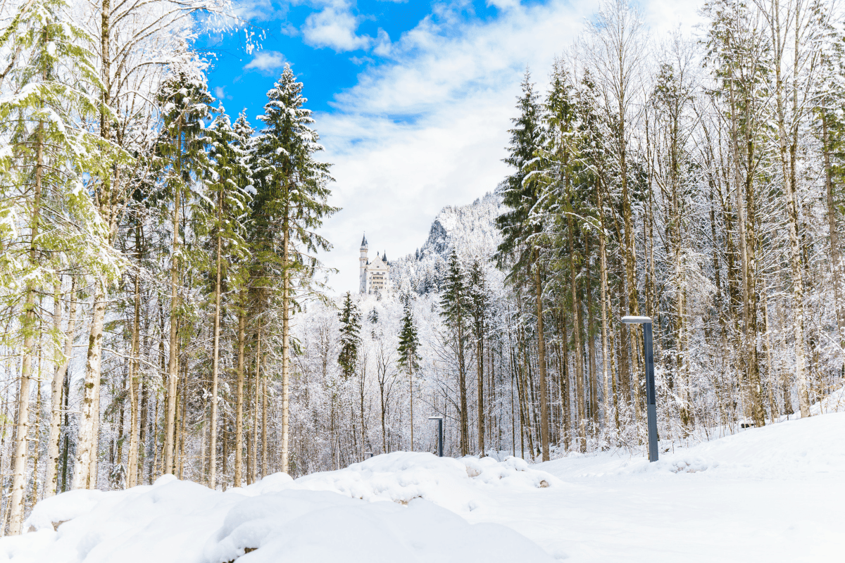 snowy path to Neuschwanstein Castle